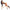Leg Avenue - Body Con Top Incrociato Taglia Unica