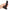 Calexotics - Dildo Boundless 12 Cm Imbracatura Compatibile Liscio