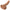 Calexotics - Orecchini In Silicone 15,24 Cm Marrone