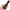CALEXOTICS - STUDIO ANALE A COSTINE