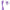 Calexotics - Contour Demi Violet