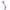 Calexotics - Contour Demi Violet