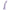 DILLIO - ESPLORATORE SEGRETO 15,24 CM VIOLA