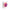 Xocoon - Vibratore Per Coppie Bound Love Viola