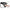 PIPEDREAMS - MINI IMBRACATURA BODY DOCK ELITE
