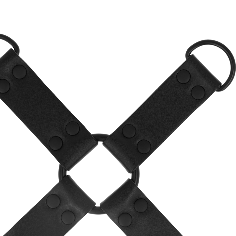 Intenso - Fetish Hog Tie