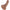 KING COCK - PENE REALISTICO 15 CM CARAMEL