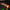Pretty Love - Dildo Magico Nightfall Senza Vibrazione Arancione Luminoso