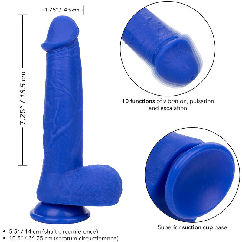 Calexotics - Admiral Captain Vibratore Dildo Realistico Blu