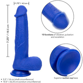Calexotics - Admiral Captain Vibratore Dildo Realistico Blu