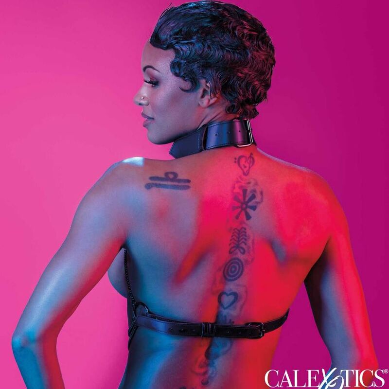 Calexotics - Euphoria Pettorina Multi Catena