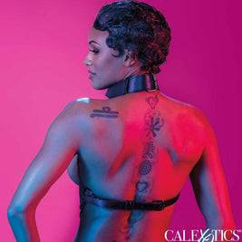 Calexotics - Euphoria Pettorina Multi Catena