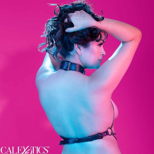 Calexotics - Euphoria Pettorina Multi-Catena Taglia Forte