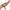 Calexotics - Performance Maxx Ricaricabile Dual Penetrator Brown Skin