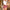 Subblime - Disfraz De Colegiala Sexy Con Camisa S/M