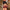 Subblime - Disfraz De Colegiala Sexy Con Top S/M