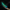 Epic - Dildo Scylla Fluorescente Con Tentacoli Sottili Di Piccole Dimensioni