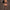 Livco Corsetti Fashion - Bodystocking Amrin Nero Taglia Unica