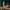 Epic - Dildo Pitone Verde Cobra