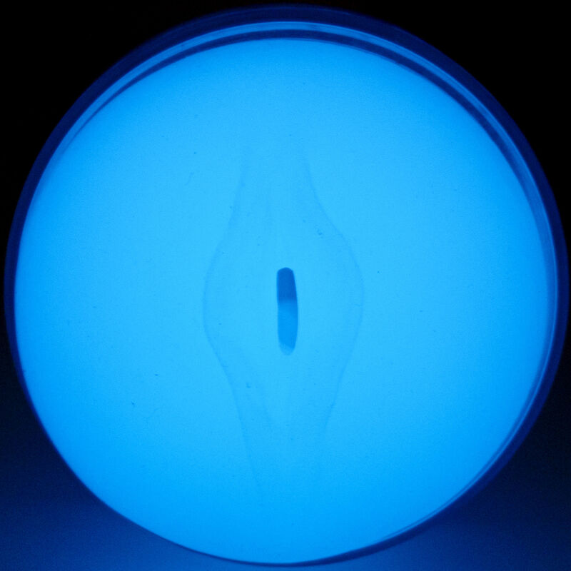 Kiiroo - Senti Il Bagliore Al Buio Stroker