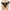 Pretty Love - Slip Starks Harness Dildo Vibrante Multivelocità 17,5 Cm Marrone Chiaro