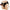 Pretty Love - Slip Starks Harness Dildo Vibrante Multivelocità 17,5 Cm Marrone Chiaro