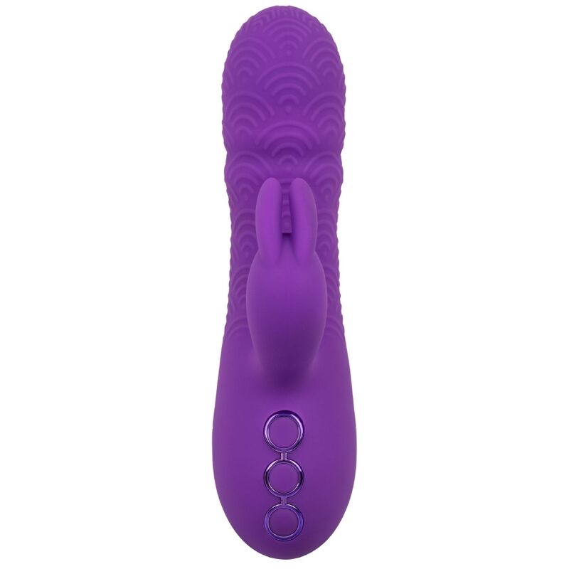 Calexotics - Manhattan Beach Marvel Vibratore Coniglio Viola Di California Dreaming