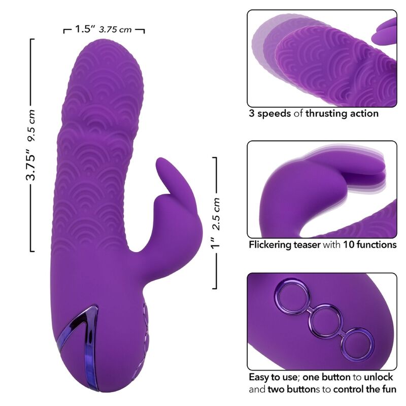 Calexotics - Manhattan Beach Marvel Vibratore Coniglio Viola Di California Dreaming