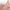 ARMONY - MODELLO REALISTICO DI TORSO FEMMINILE 4