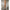 Subblime - 951702 Bodystocking A Rete Con Spalline E Top Corto Nero Taglia Unica