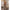 Subblime - 951719 Bodystocking A Rete Con Spalle Aperte Nero Taglia Unica