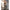 Subblime - 951726 Bodystocking A Rete Elastica Nera Senza Cavallo Taglia Unica