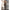 Subblime - 951726 Bodystocking A Rete Elastica Nera Senza Cavallo Taglia Unica