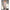 Subblime - 951818 Bodystocking A Rete Senza Cavallo Con Motivo A Rose Bianche Taglia Unica