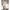 Subblime - 951818 Bodystocking A Rete Senza Cavallo Con Motivo A Rose Bianche Taglia Unica