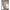 Subblime - 951818 Bodystocking A Rete Senza Cavallo Con Motivo A Rose Bianche Taglia Unica