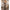 Subblime - 951832 Bodystocking Con Schiena Aperta E Incrocio Nero Taglia Unica