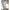 Subblime - 951894 Bodystocking A Rete Senza Cavallo Con Spalline Bianche Taglia Unica