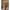 Subblime - 951955 Bodystocking A Rete Lucida Taglia Unica
