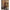 Subblime - 951962 Bodystocking A Rete Con Stampa A Fiori Nero Taglia Unica