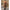 Subblime - 951993 Bodystocking A Rete Trasparente Nero Senza Cavallo Taglia Unica