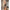 Subblime - 952297 Body In Rete Lucida Con Spalle Scoperte Manica Lunga Nero Taglia Unica