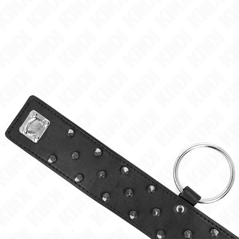Kink - Collana Con Guinzaglio 65 Cm Con Borchie In Argento Modello 5 Regolabile 36-43 Cm X 5 Cm