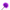 Kink - Piume Viola Tickle Utilizzate Per Il Kit Bondage 27 Cm
