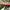 Je Joue - The Wand G-Spot Vibratore Rosa