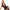 SUBBLIME - 930806 BODY SEXY CON VOLANT NERO S/M