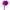 Secretplay - Spolverino Marabù Rosa Viola