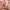 Extreme Toyz - Pipedream Extreme Fantasy Dolls Carmen Doll 165 Cm