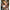 Extreme Toyz - Pipedream Extreme Ultimate Fantasy Dolls Kitty 168 Cm