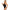 Subblime - Teddy Pizzo Floreale Nero Taglia Unica